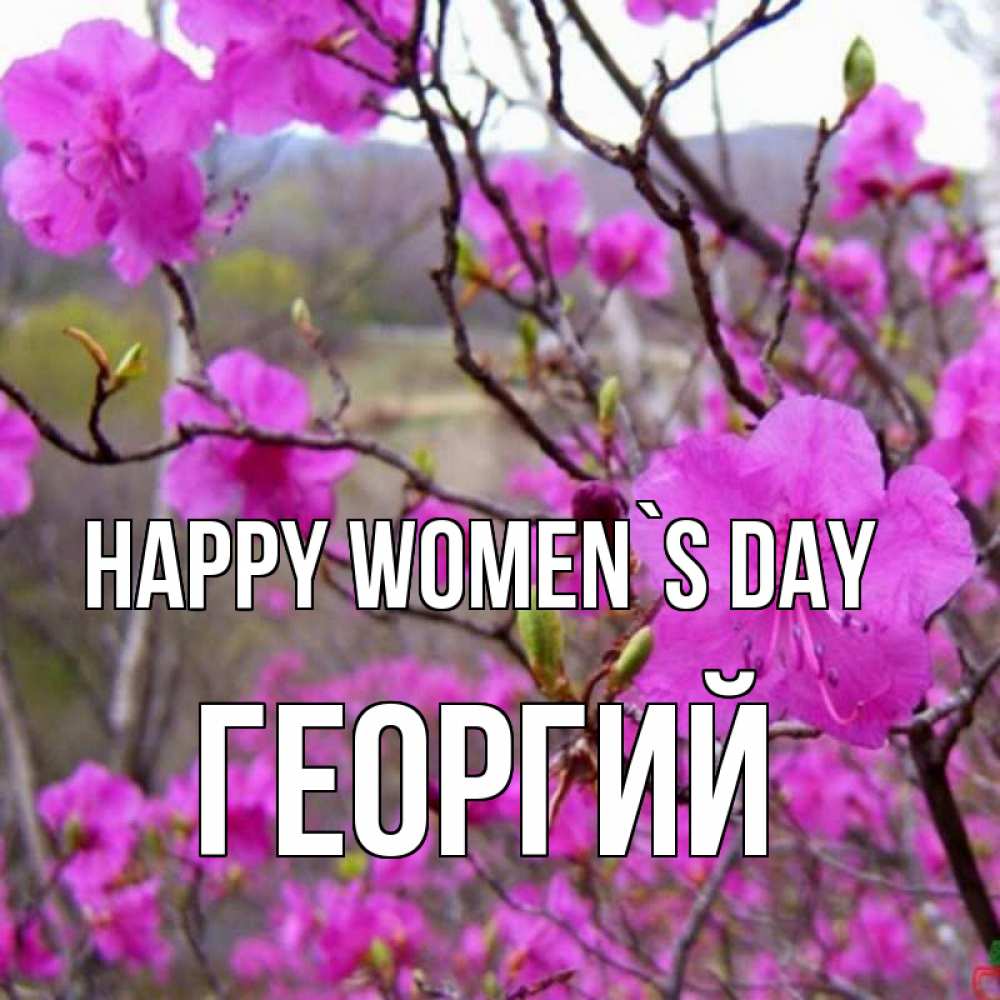Greetings card с именем, Георгий happy women`s day международный женский день Greetings with text for free download 